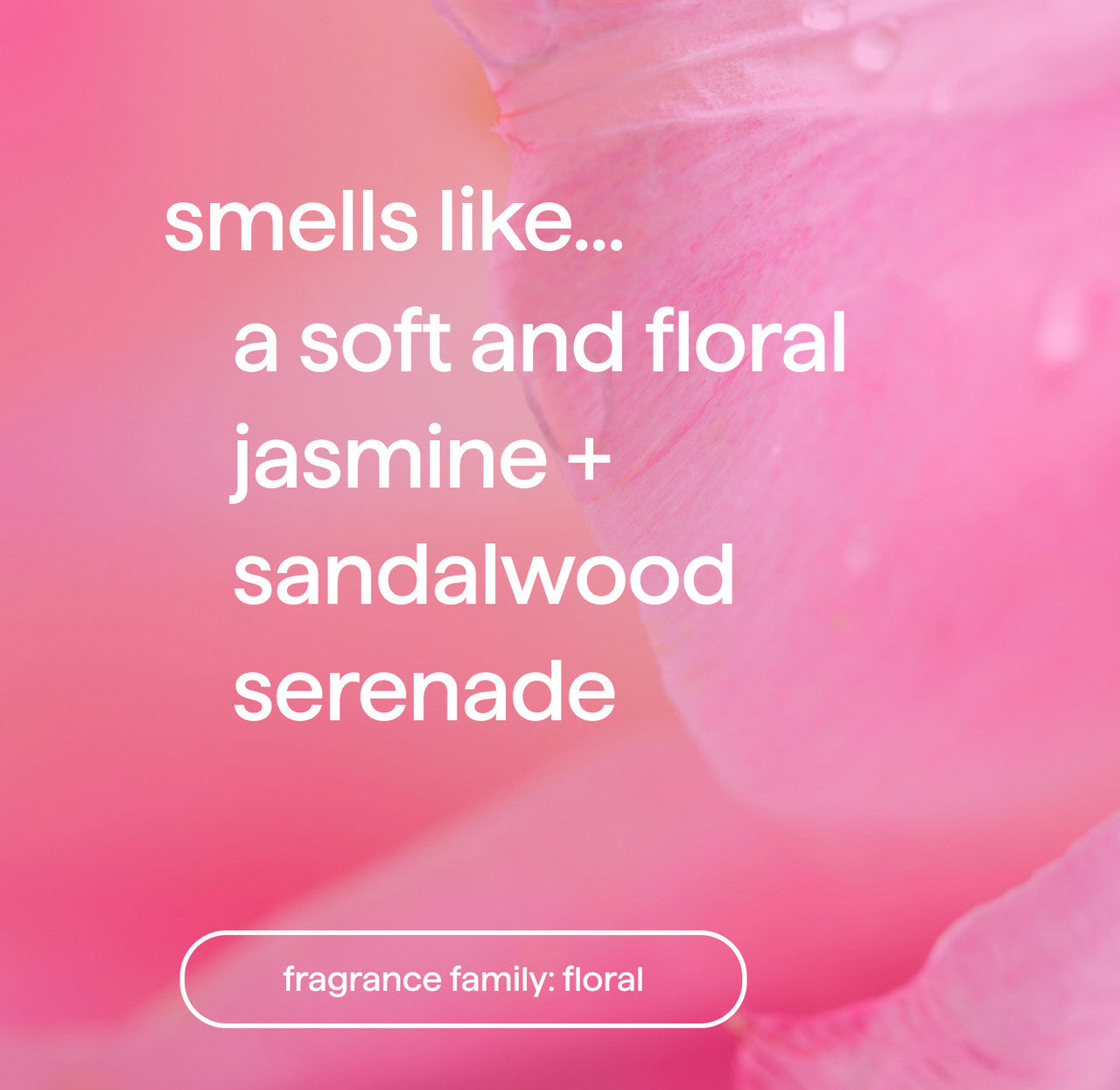 dream foam foaming body wash variety trio. 40.5 oz - Image 4