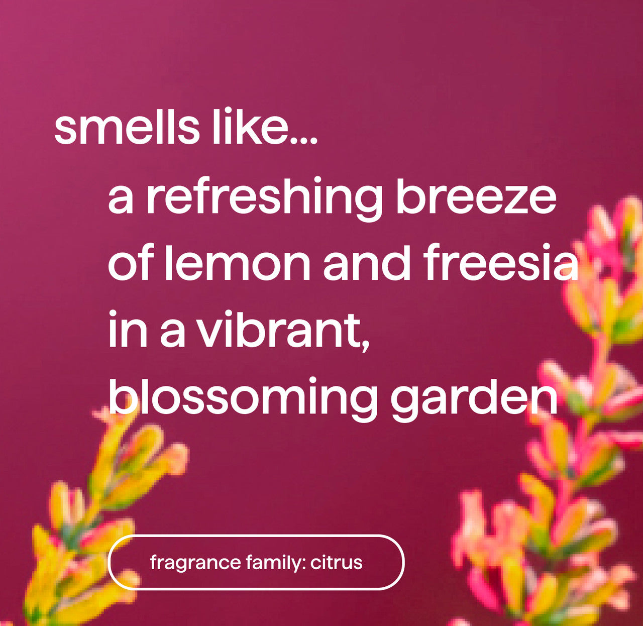 foaming hand wash - lemon + freesia. 10 fl oz - Image 4