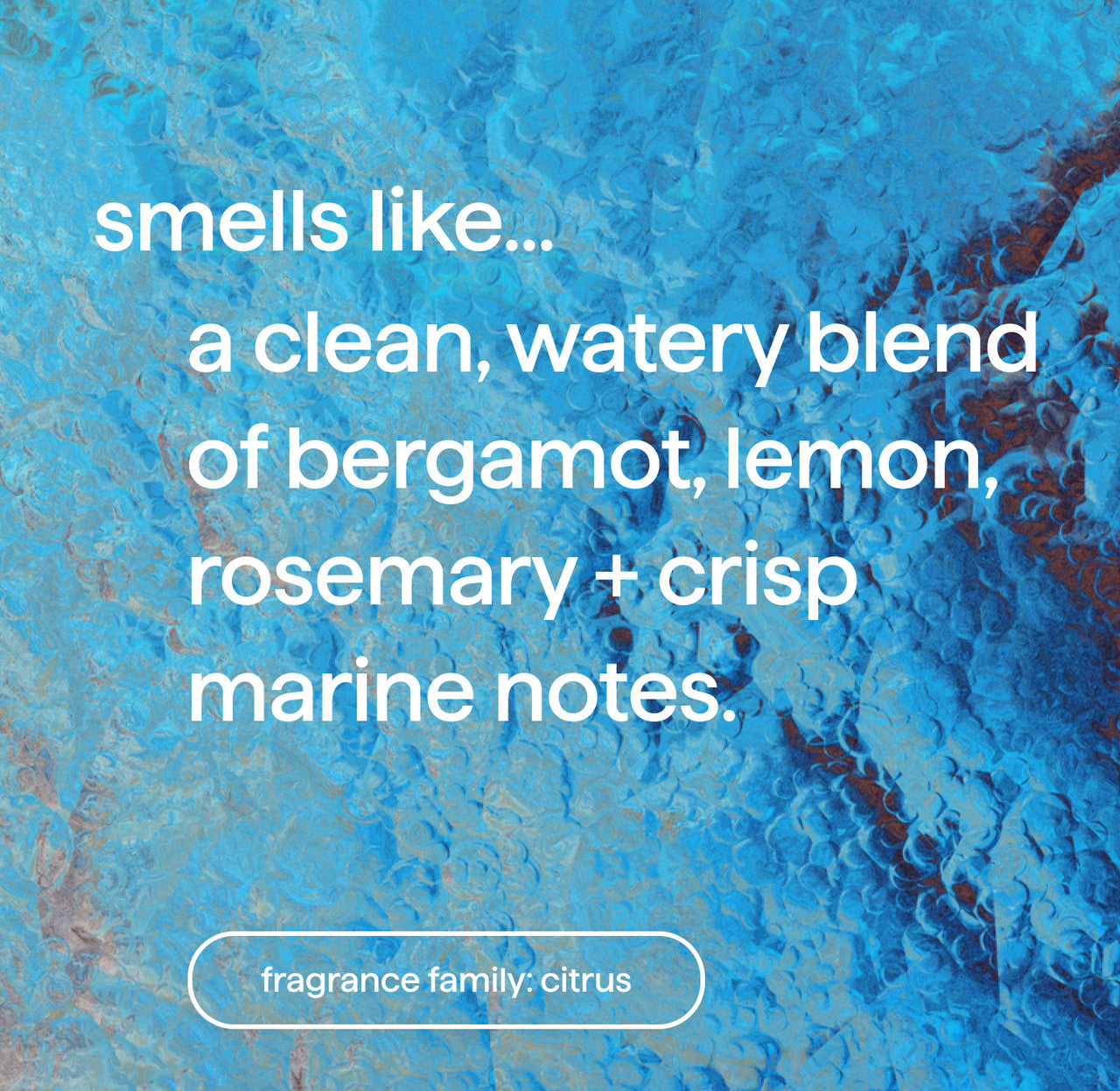 men body bundle - sea + surf. 26.65 oz - Image 6