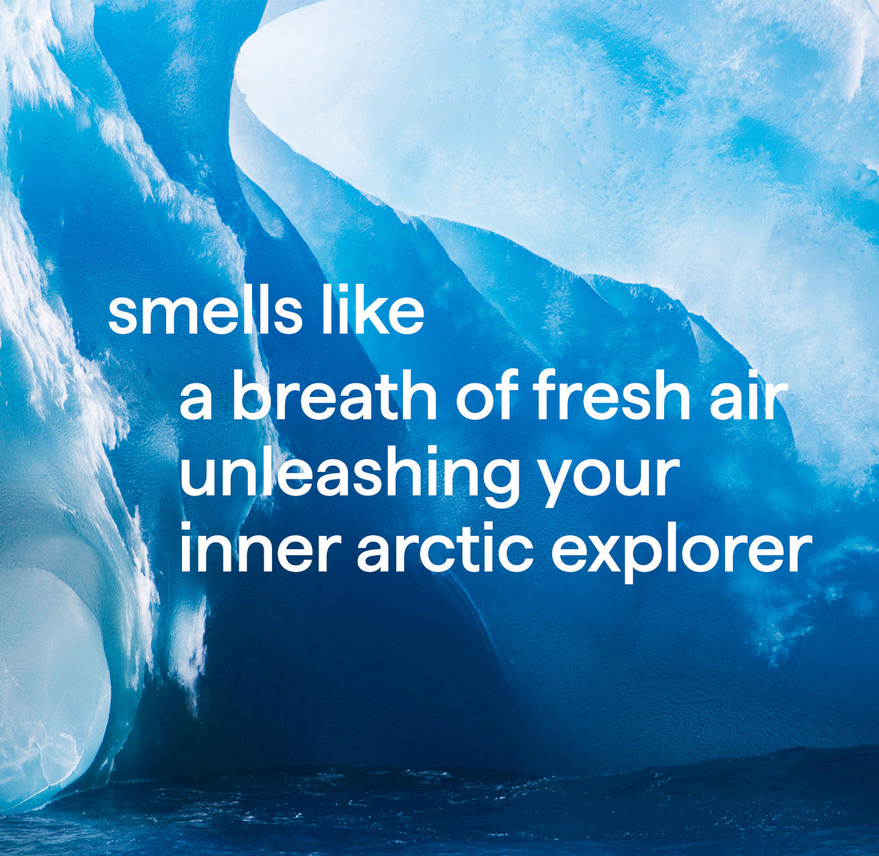 men 2-in-1 shampoo + conditioner variety trio. 42 oz - Image 8