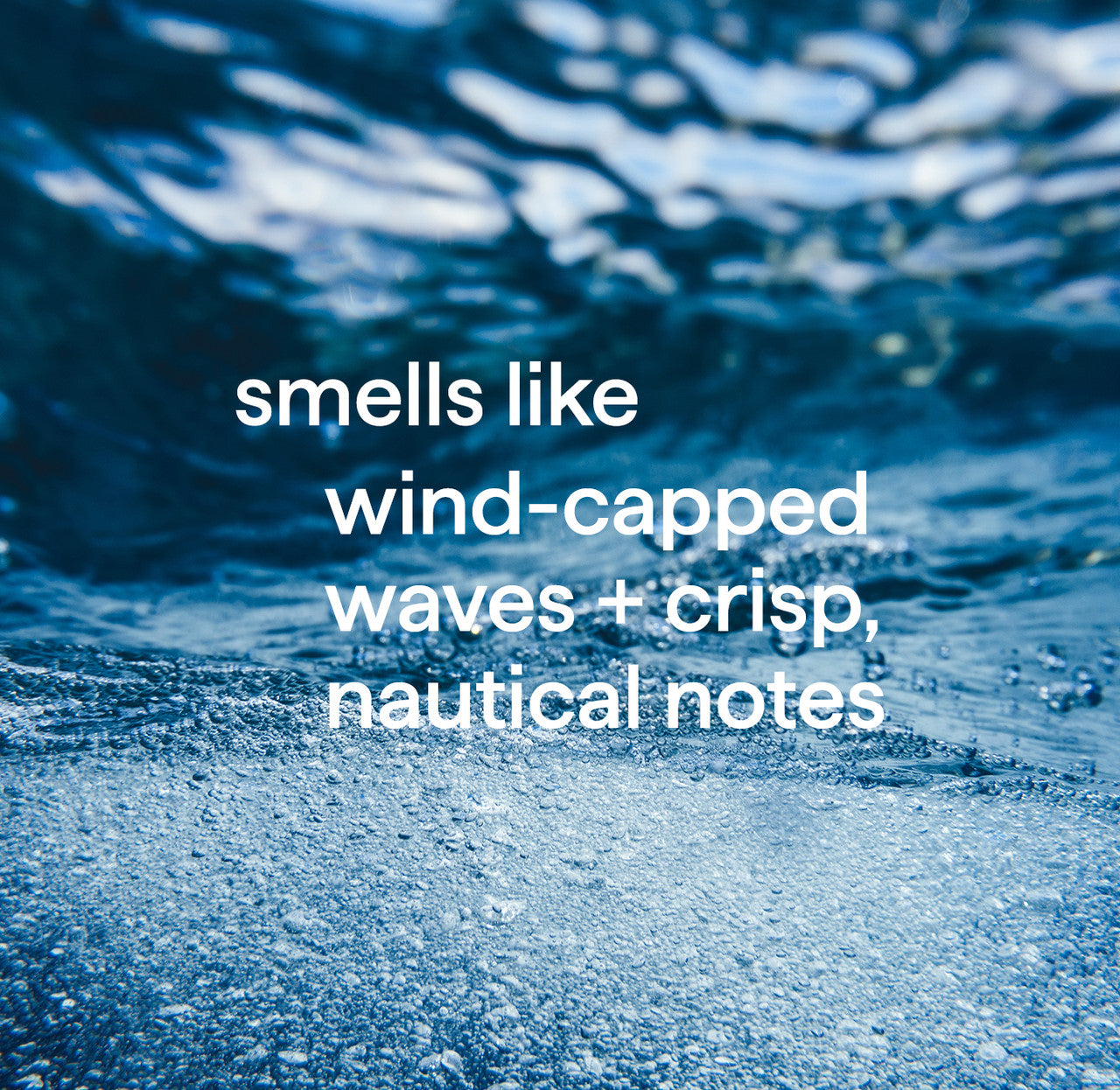 men body wash - sea + surf. 18 fl oz - Image 6