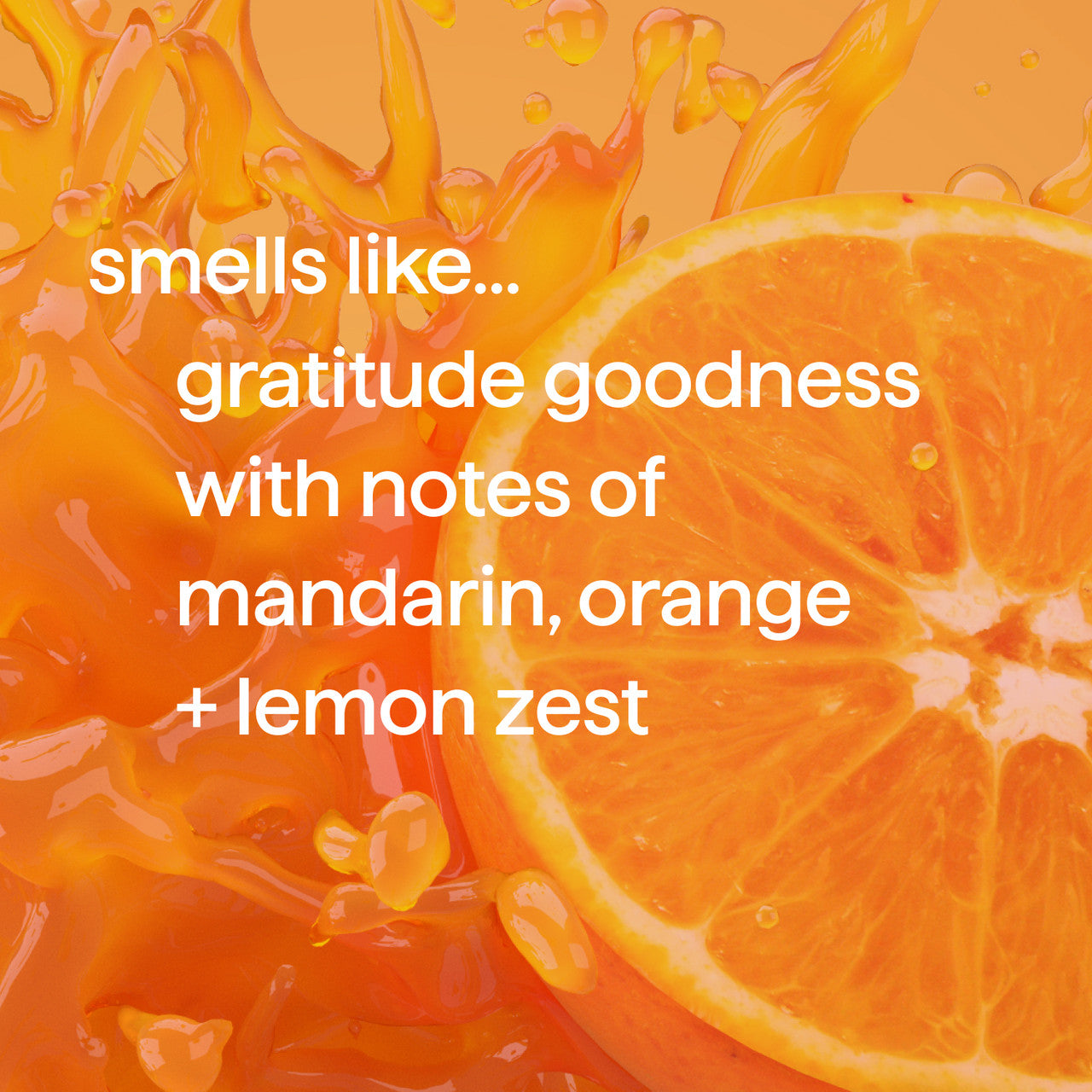 body wash - gratitude goodness. 18 fl oz - Image 4