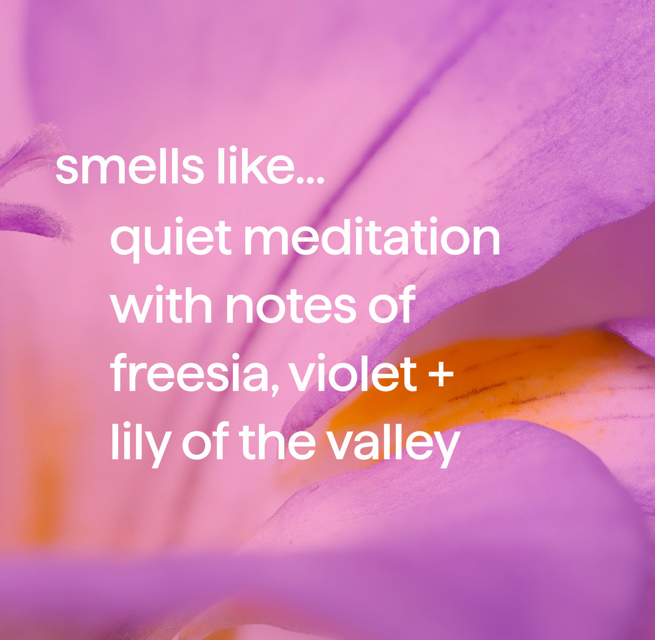 body wash - quiet meditation. 18 fl oz - Image 4