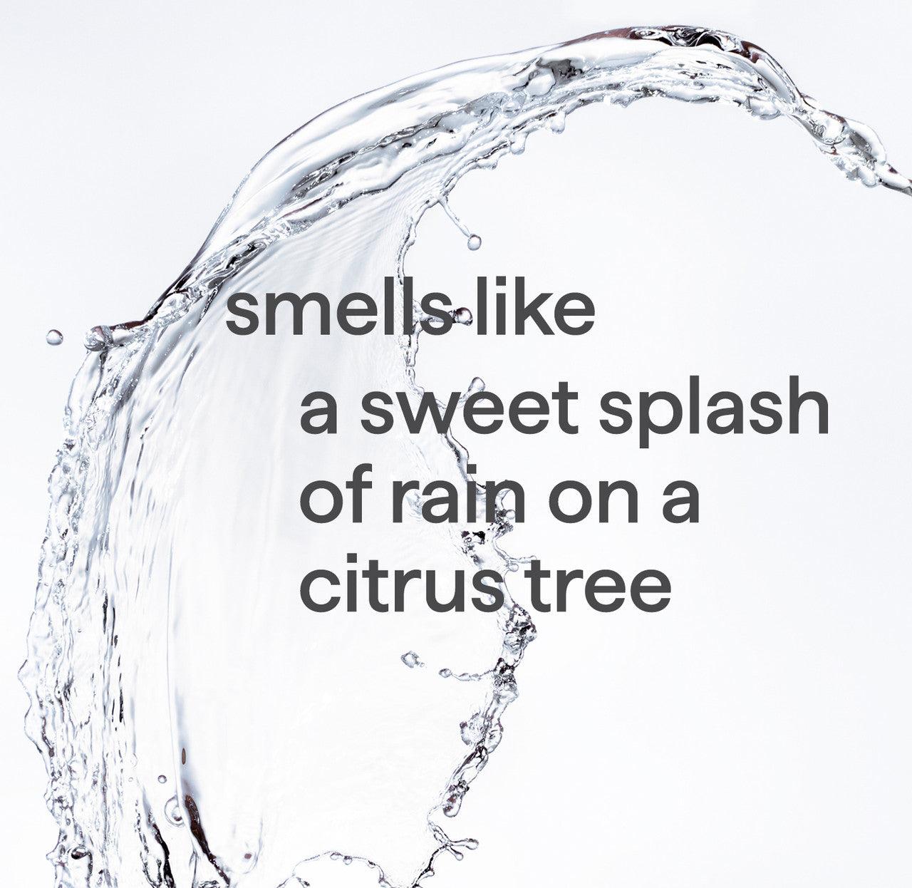 foaming hand wash variety trio. 30 oz - Image 4