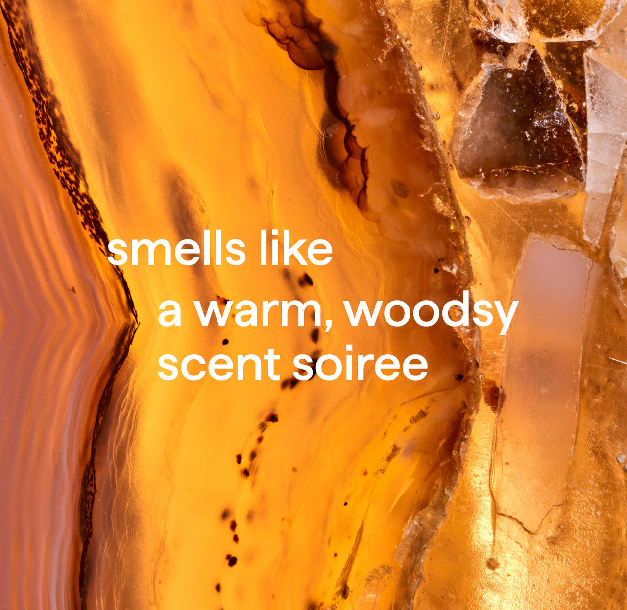 gel hand wash - vetiver + amber. 12 fl oz - Image 6