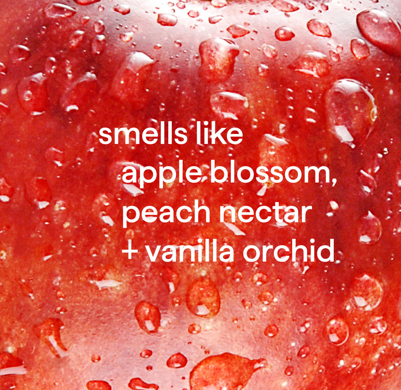 daily granite cleaner - apple orchard. 28 fl oz - Image 4