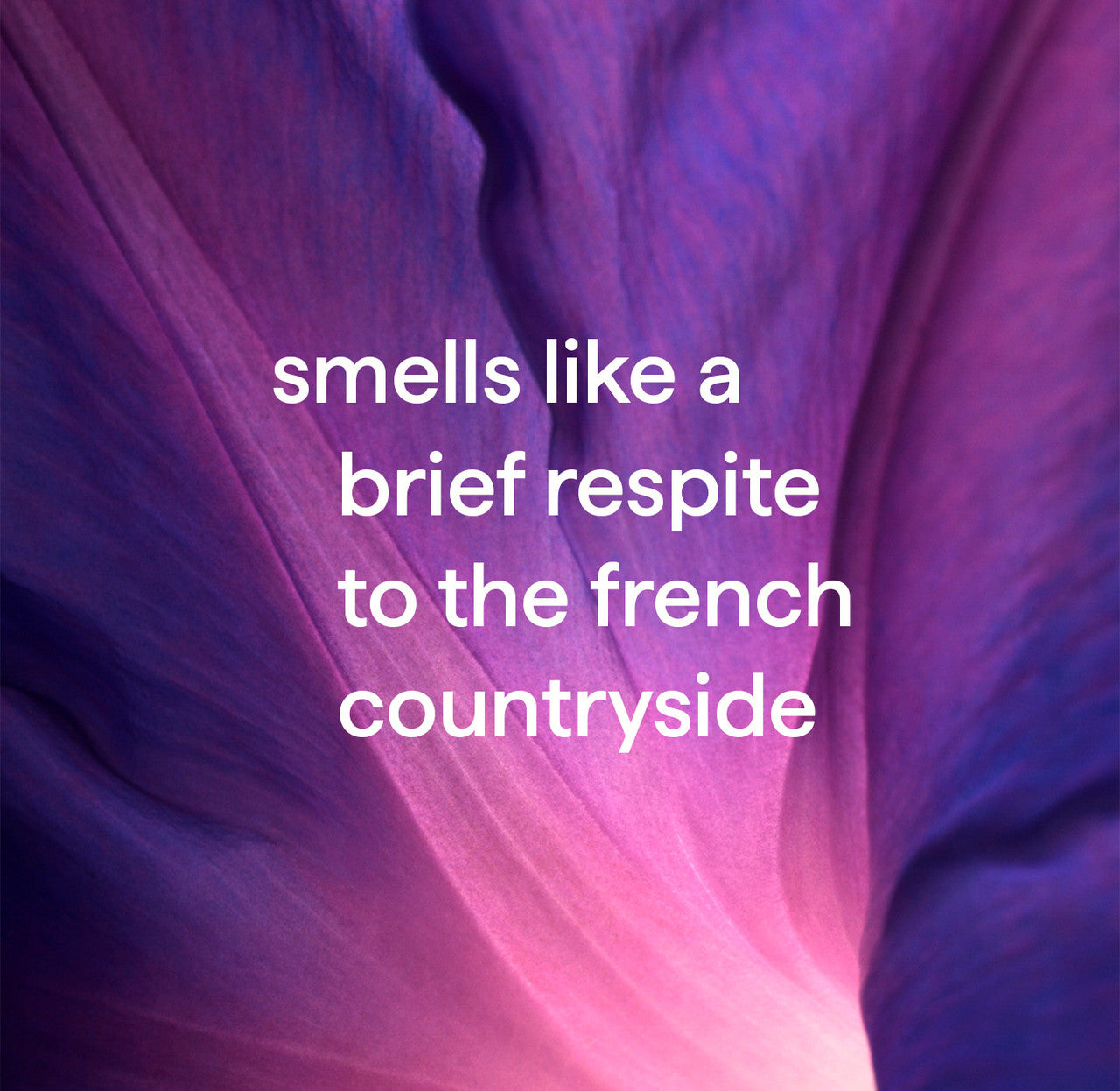 all-purpose cleaning wipes - french lavender. 70 ct - Image 4