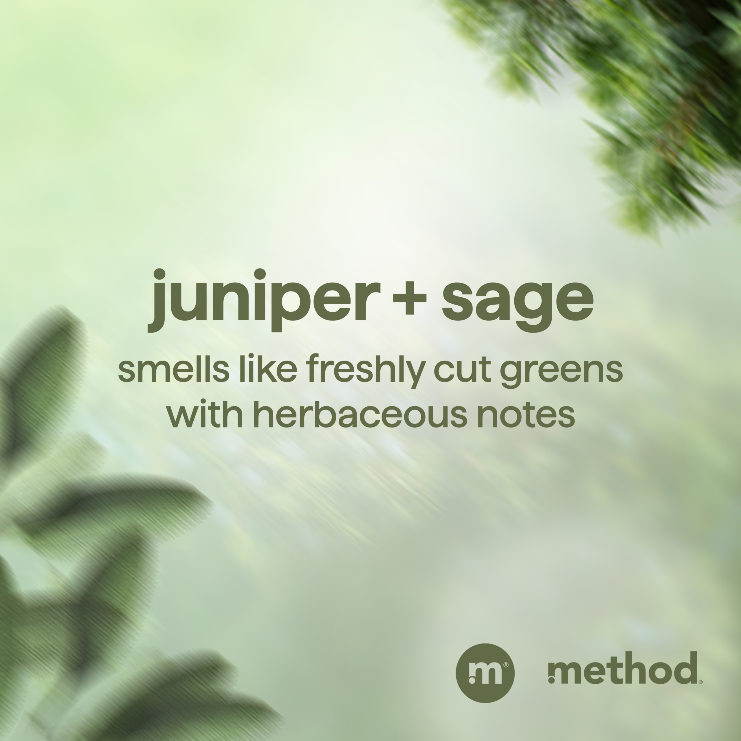 men 2-in-1 shampoo + conditioner - juniper + sage. 14 fl oz - Image 7