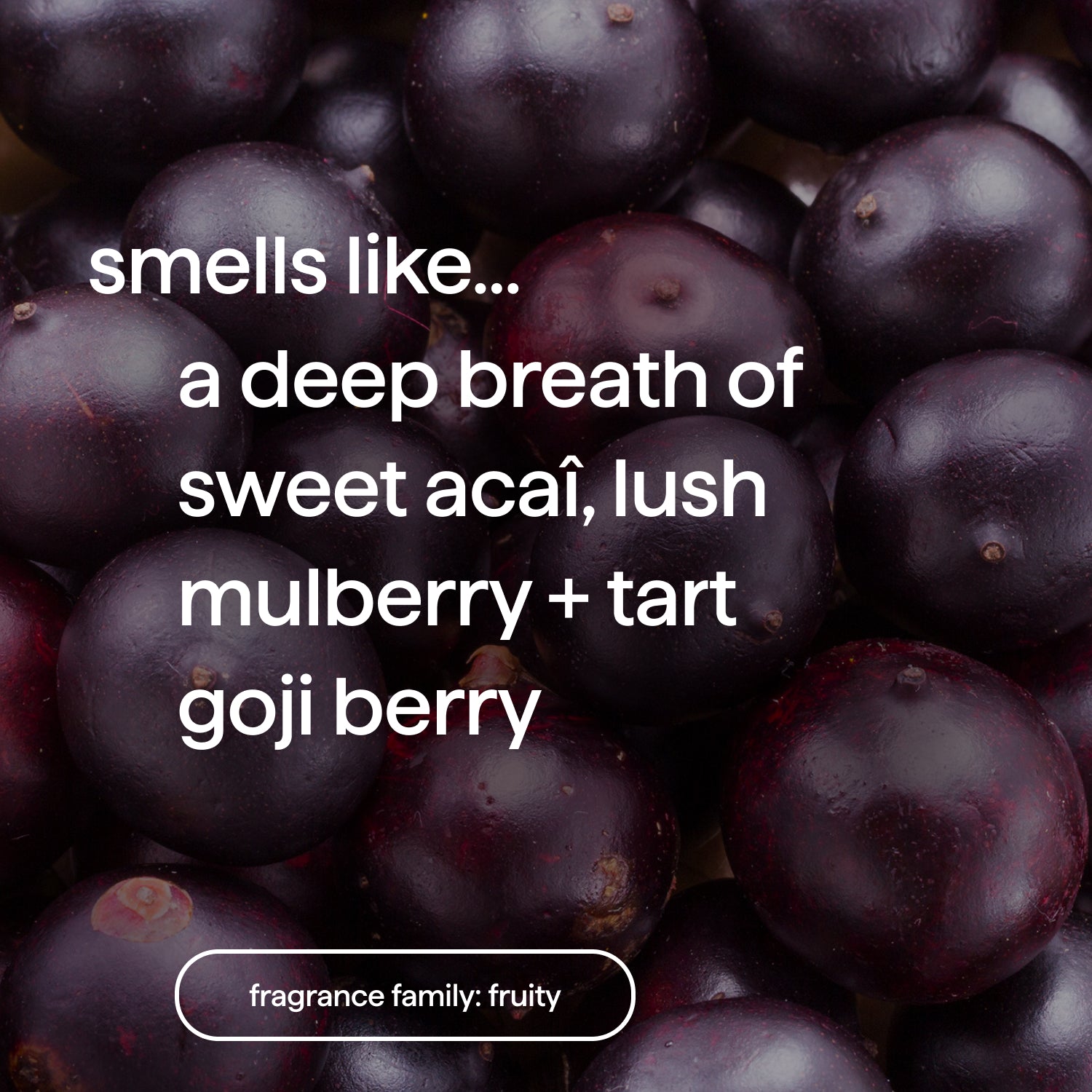 body wash - berry balance. 28 fl oz - Image 5