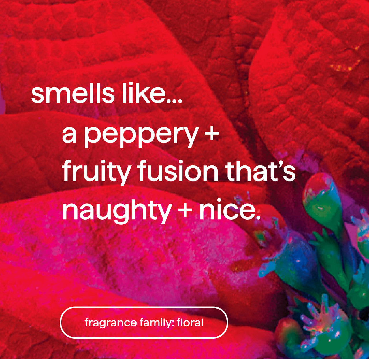 foaming hand wash - dahlia + delight. 10 fl oz - Image 4