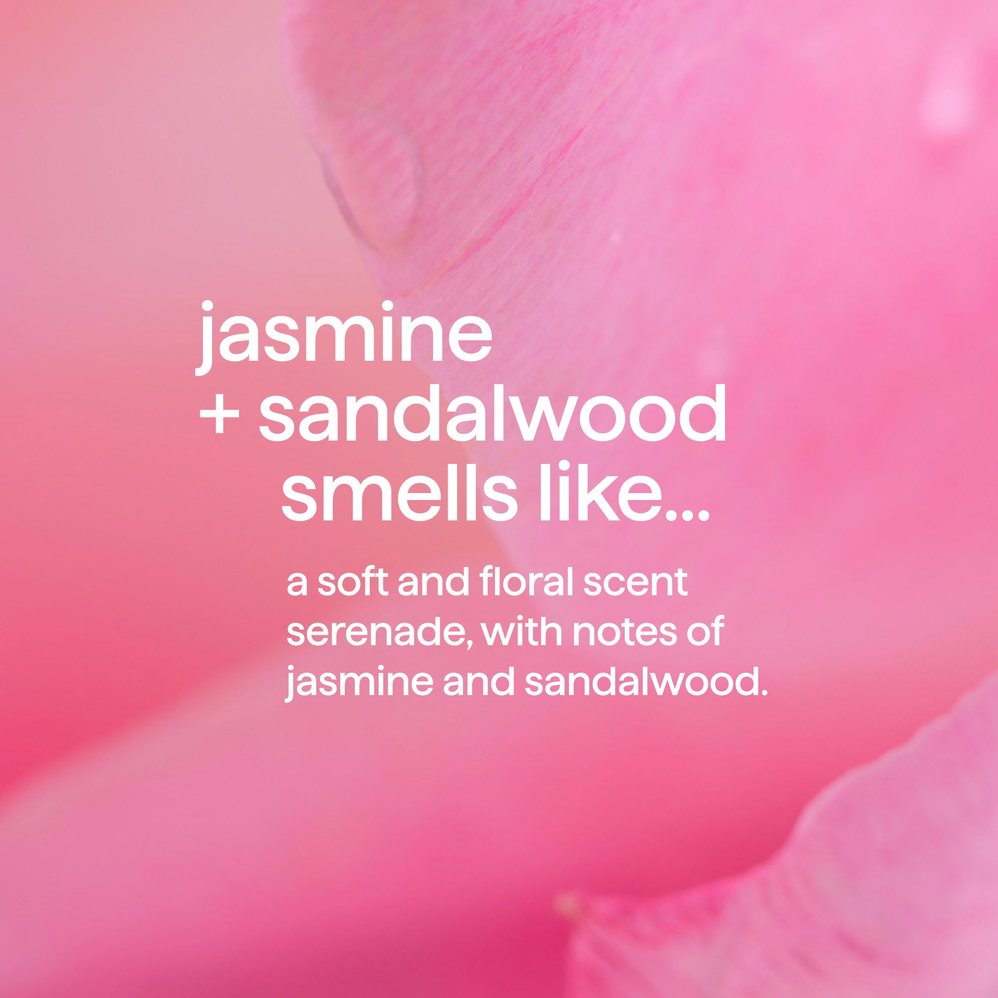 body + hair mist - jasmine + sandalwood. 8 fl oz - Image 5