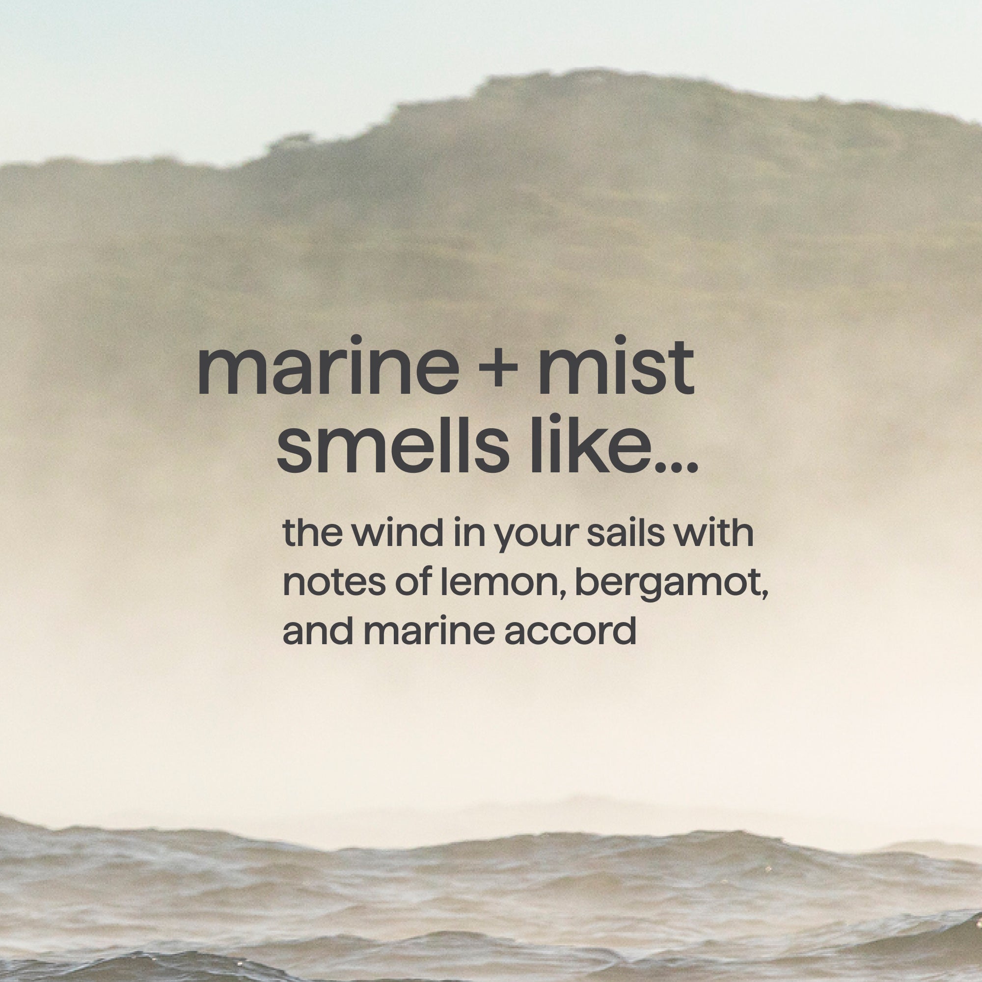 body wash - marine + mist. 18 fl oz - Image 5