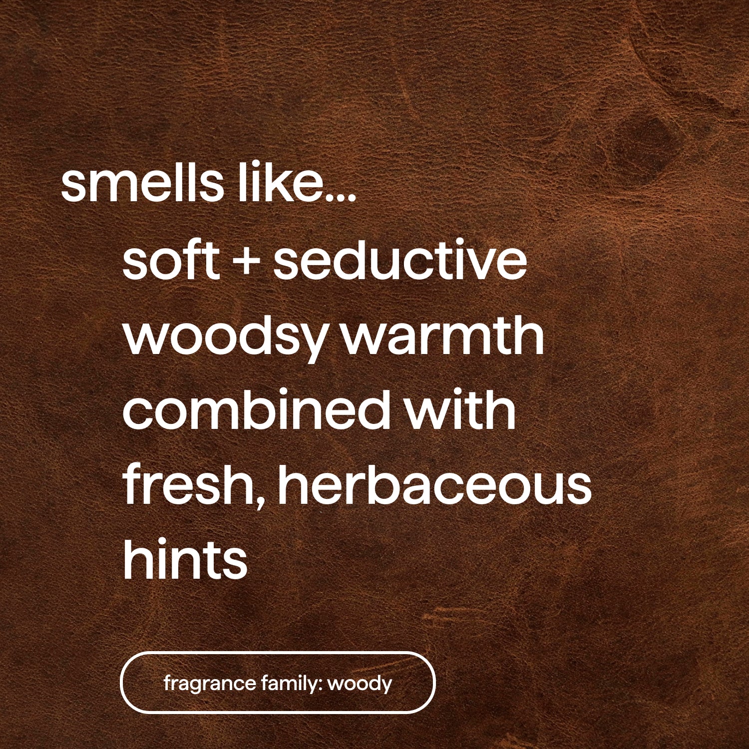 body wash - sandalwood + vetiver. 28 fl oz - Image 5