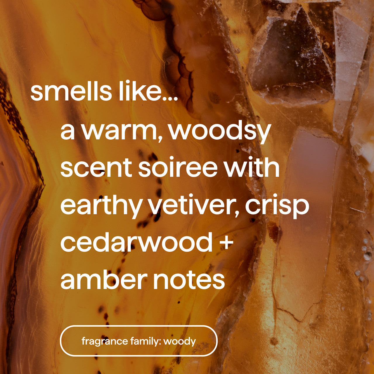 premium soy candle - vetiver + amber. 14 oz - Image 4